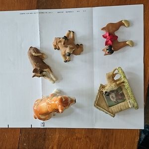 Miniature boxers